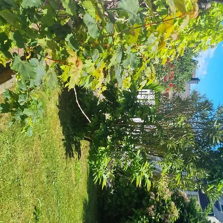 Privee Dans Maison Au Quartier Calme Privat bolig Brest
